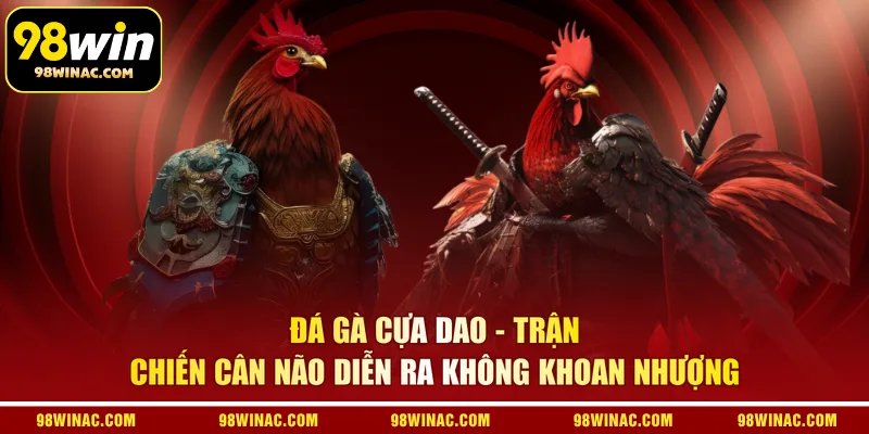 Đá gà cựa dao - Trận chiến cân não diễn ra không khoan nhượng