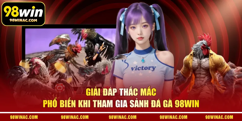Giải đáp thắc mắc phổ biến khi tham gia sảnh đá gà 98WIN 